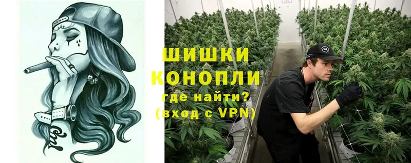 Шишки марихуана Ganja  Спас-Клепики 